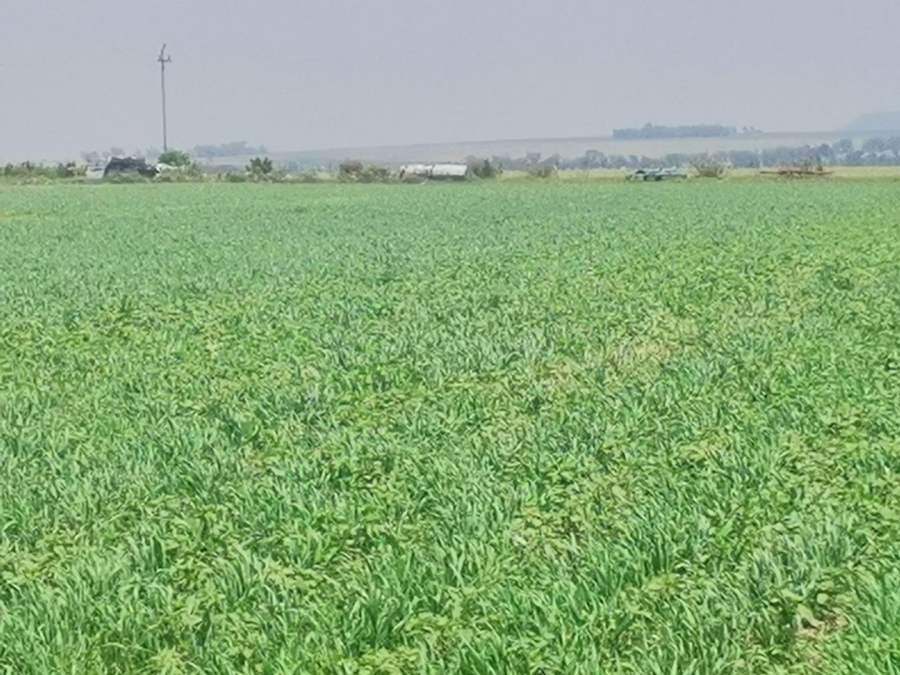 Commercial Property for Sale in Senekal Rural Free State
